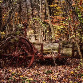 Antique Manure Spreader In The Forest. by Jeff Sinon