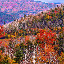 Bear Notch View by Jeff Sinon
