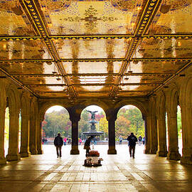 Bethesda Terrace   by Jessica Jenney