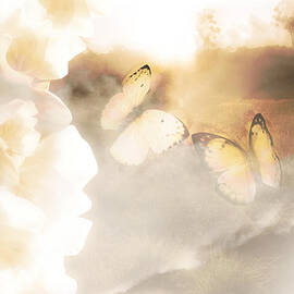 Butterfly Dreams by Jorgo Photography