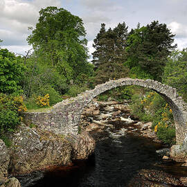 Carrbridge by Grant Glendinning