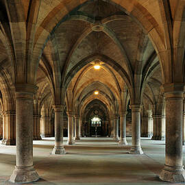 Cloisters by Grant Glendinning