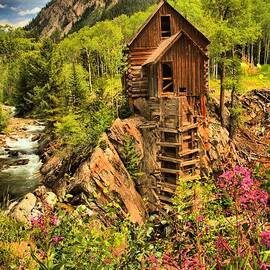 Crystal Mill Wildflowers by Adam Jewell
