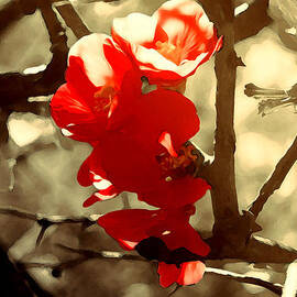 Nature's Dream by AM FineArtPrints