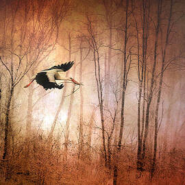 Fly Away Home by Jessica Jenney