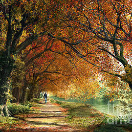 Forever Autumn by Dominic Davison