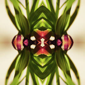 Fritillaria Flower Plant by Silvia Otte