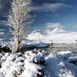 Glencoe Winter by Grant Glendinning