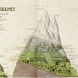 Global Botanical Geography by 