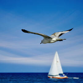 good karma by Laura Fasulo