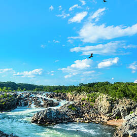 Great Falls Of The Potomac by Drnadig