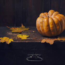 Halloween Pumpkin by Jelena Jovanovic