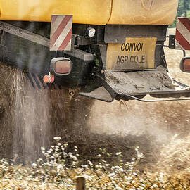 Harvest Time  by Georgia Clare