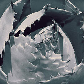 Impression by Kelley King