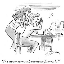 I've Never Seen Such Awesome Fireworks by Mike Twohy