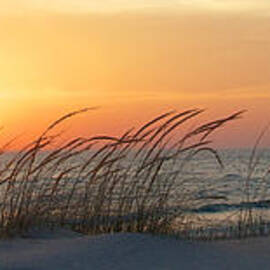 Lake Michigan Sunset Panorama by Mary Lee Dereske