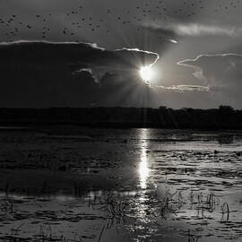 Late Afternoon Shimmer by Dale Kauzlaric