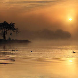 Loch Ard morning glow by Grant Glendinning