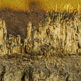 Palouse Design by Jean Noren