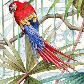 Parrot, 2008 by Jenny Barnard