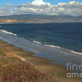 Point Reyes Drakes Beach by Adam Jewell