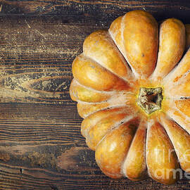 Pumpkin by Jelena Jovanovic