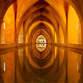 Reflection of Perfection by AM FineArtPrints