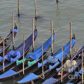 Row of empty moored gondolas by Sami Sarkis Photography