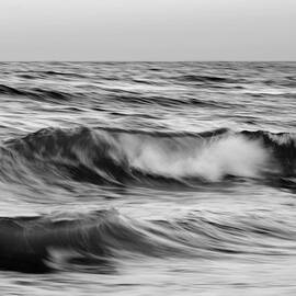 Salt life square by Laura Fasulo