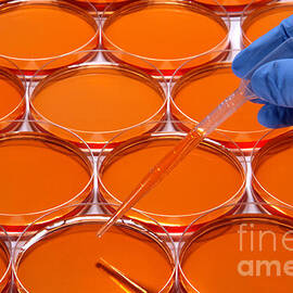 Scientific Experiment in Science Research Lab by Olivier Le Queinec