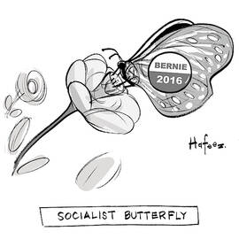 Socialist Butterfly by Kaamran Hafeez