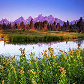 Teton Sunrise by Steve Burns