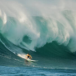 Untitled by David Yang