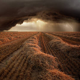 Untitled by Franz Schumacher