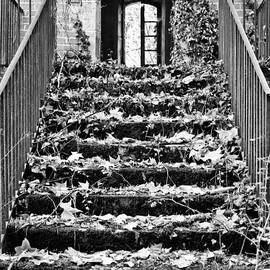 Up to the light by Georgia Clare