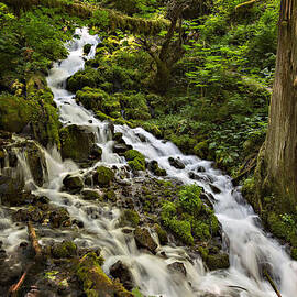 Wahkeena Creek by Mary Jo Allen