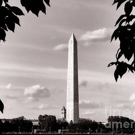 Majestic Washington Monument by Olivier Le Queinec