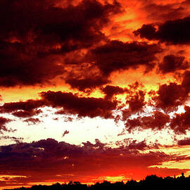 Weather by Rona Black