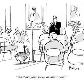 What Are Your Views On Migration by Kaamran Hafeez