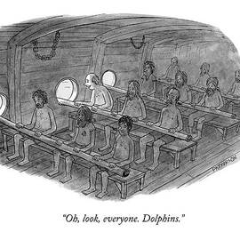 Oh, Look, Everyone. Dolphins by Jason Patterson