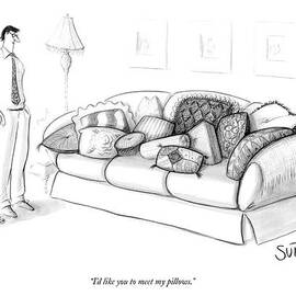 I'd Like You To Meet My Pillows by Julia Suits