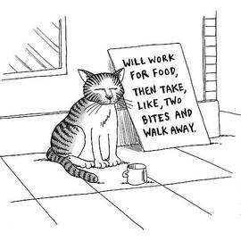 New Yorker September 22nd, 2008 by Joe Dator