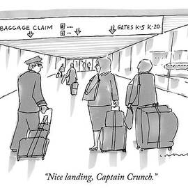 Nice Landing by Michael Crawford