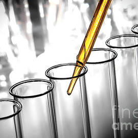 Laboratory Test Tubes in Science Research Lab by Science Research Lab