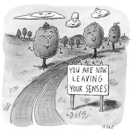 New Yorker April 20th, 2009 by Roz Chast