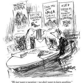 We Just Want A Vacation - We Don't Want To Learn by Robert Weber