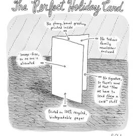 The Perfect Holiday Card by Roz Chast