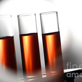 Laboratory Test Tubes in Science Research Lab by Science Research Lab