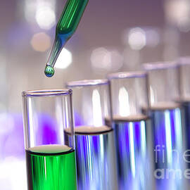Laboratory Test Tubes in Science Research Lab by Science Research Lab