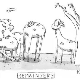 Remainders by Zachary Kanin